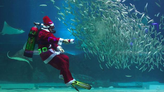 In South Korea Santa Claus geared up for a swim with the residents at the Coex Aquarium in Seoul. Christmas is coming and the jolly man in red has been busy making appearances around the world in the quirkiest ways possible. (Jung Yeon-Je / AFP)