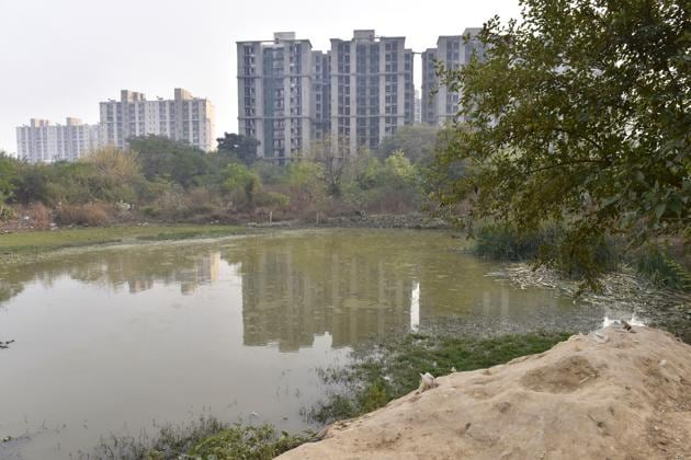 Gurgaon, India - Dec. 19, 2017: Water bodies at Sector-47, in Gurgaon, India, on Tuesday, December 19, 2017. (Photo by Sanjeev Verma/ Hindustan Times)(Sanjeev Verma/HT PHOTO) Gurgaon, India - Dec. 19, 2017: Water bodies at Sector-47, in Gurgaon, India, on Tuesday, December 19, 2017. (Photo by Sanjeev Verma/ Hindustan Times)(Sanjeev Verma/HT PHOTO)