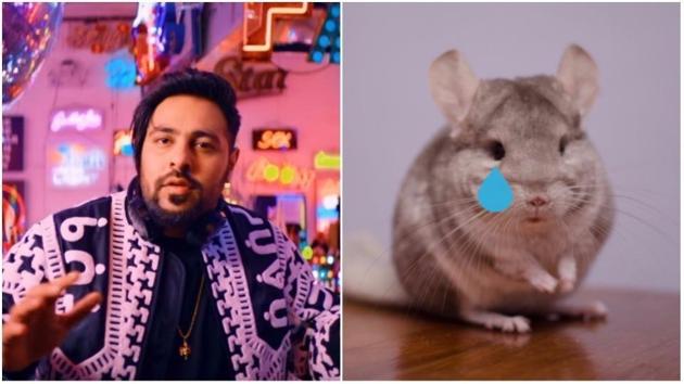 What did the poor chinchilla ever do to you, Badshah? (YouTube/Shutterstock) What did the poor chinchilla ever do to you, Badshah? (YouTube/Shutterstock)