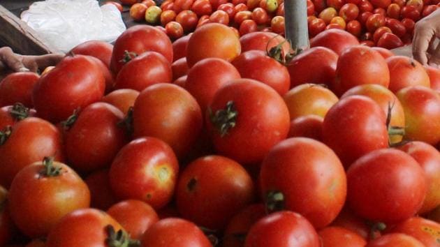 According to the study, other than tomatoes, three portions of fresh fruit a day, especially apples, is very beneficial.(Rahul Grover) According to the study, other than tomatoes, three portions of fresh fruit a day, especially apples, is very beneficial.(Rahul Grover)