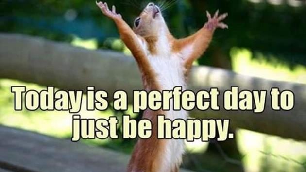Happiness is an infectious trait. You have to be around positive people to catch the right infection. Happiness is an infectious trait. You have to be around positive people to catch the right infection.