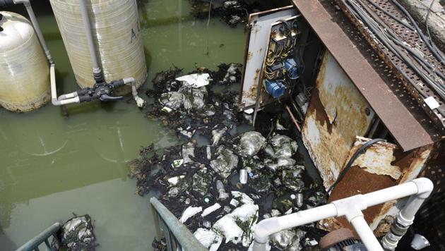 Stagnant rain water, perfect breeding ground for mosquitoes, at the non-functional sewage treatment plant near the Municipal Corporation of Gurugram (MCG) office.(Sanjeev Verma/HT file photo)