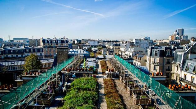More than 70 major companies have already signed up to have the roofs of their offices and buildings converted into vegetable plots. (Topager/Facebook) More than 70 major companies have already signed up to have the roofs of their offices and buildings converted into vegetable plots. (Topager/Facebook)
