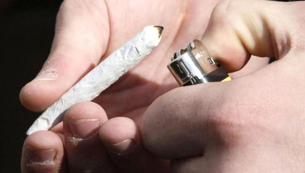 According to the Chinese law, any deals related to the sales of marijuana over 1 kg could attract a punishment of a jail term of 15 years, a lawyer said. (Representational image) (Reuters file) According to the Chinese law, any deals related to the sales of marijuana over 1 kg could attract a punishment of a jail term of 15 years, a lawyer said. (Representational image) (Reuters file)