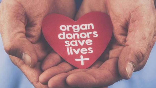 PGIMER received 42 cadaver donations in 2017, as compared to 27 last year, and this is the highest yet. (iStock Photo) PGIMER received 42 cadaver donations in 2017, as compared to 27 last year, and this is the highest yet. (iStock Photo)