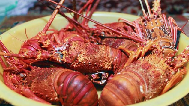 In one hour on Sunday, A lobsterman in Maine gave out 400 pounds of lobster. He provided 100 pounds that he hauled in on his boat No Worries while the rest was donated by other companies. (Shutterstock) In one hour on Sunday, A lobsterman in Maine gave out 400 pounds of lobster. He provided 100 pounds that he hauled in on his boat No Worries while the rest was donated by other companies. (Shutterstock)
