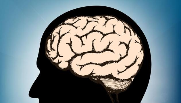 The study showed that especially persons with lesions in certain areas of the right posterior temporal lobe experienced difficulties recognising voices.(Shutterstock)
