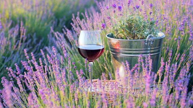 New World or Old World: What wine do you prefer? (Shutterstock) New World or Old World: What wine do you prefer? (Shutterstock)
