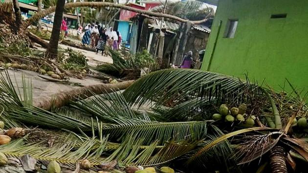 Uprooted trees following Cyclone Ockhi in Lakshadweep. (PTI) Uprooted trees following Cyclone Ockhi in Lakshadweep. (PTI)