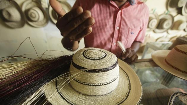 Reinaldo Quiros explains the manufacturing of a Panamanian pintao hat. Bands of fiber are dyed black with plant dye and stuck in mud for three days. They are then woven into fine geometric designs and integrated into the hat giving it its name. The ‘Panama hat’ on the other hand is made from the toquilla palm and earned its name from popularity among Gold Rush era prospectors passing through Panama. (Arnulfo Franco / AP)