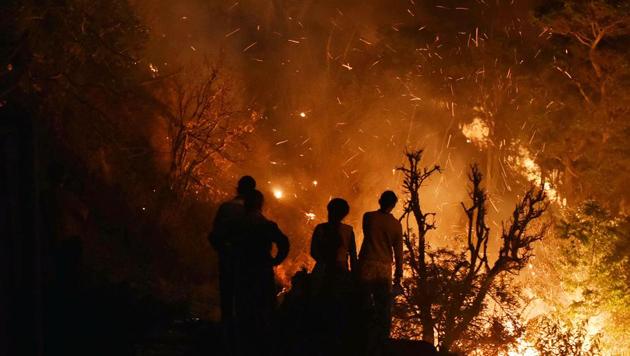 Most forest fire incidents in Maharashtra are man made, say ...