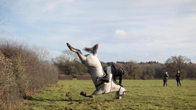 A member of the Old Surrey Burstow and West Kent Hunt crashes as she jumps a fence during the annual Boxing Day hunt in Chiddingstone, Britain on December 26, 2017. (Simon Dawson / REUTERS) A member of the Old Surrey Burstow and West Kent Hunt crashes as she jumps a fence during the annual Boxing Day hunt in Chiddingstone, Britain on December 26, 2017. (Simon Dawson / REUTERS)
