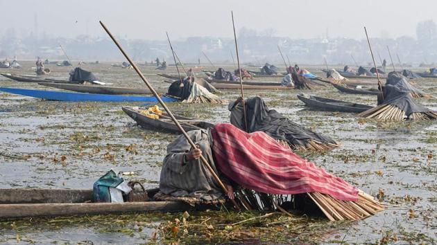 Fishermen catch fish with harpoons in Anchar Lake on the outskirts of Srinagar on December 28, 2017. (Tauseef Mustafa / AFP)