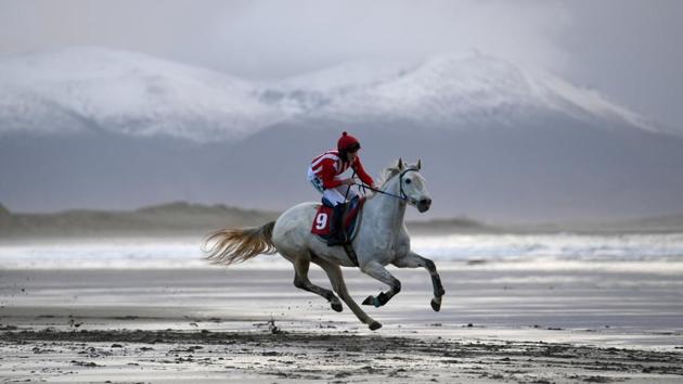 A rider participates in the Christmas Ballyheigue beach horse race in the County Kerry village of Ballyheigue, Ireland on December 27, 2017. (Clodagh Kilcoyne / REUTERS) A rider participates in the Christmas Ballyheigue beach horse race in the County Kerry village of Ballyheigue, Ireland on December 27, 2017. (Clodagh Kilcoyne / REUTERS)