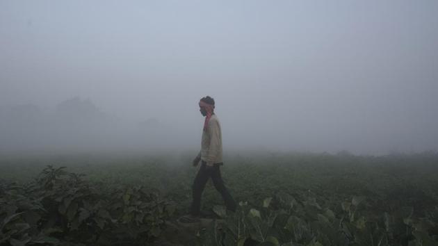 A farmer walks amid a thick blanket of smog on the banks of Yamuna in New Delhi on December 26, 2017. (Burhaan Kinu / HT Photo)