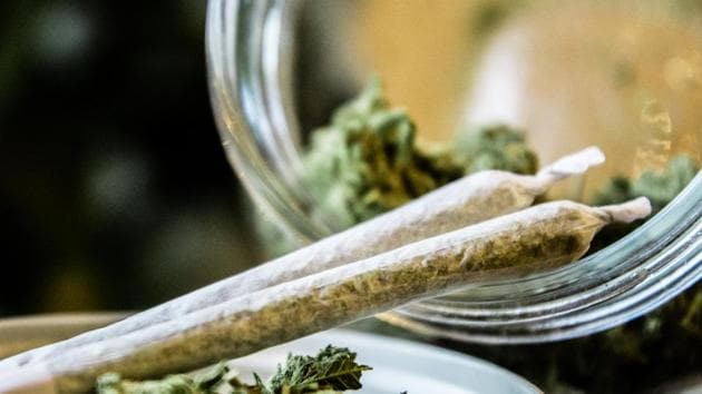 The drugs were being allegedly sourced from Himachal Pradesh. (Representative image) The drugs were being allegedly sourced from Himachal Pradesh. (Representative image)