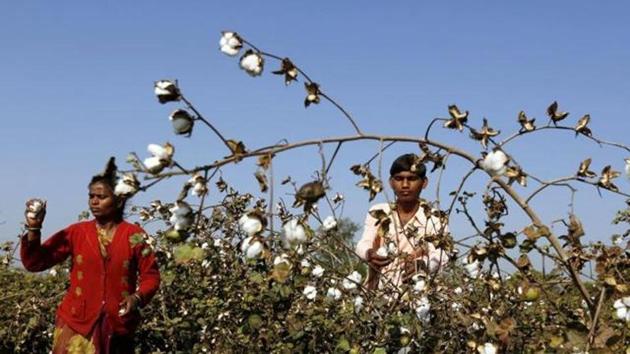 The Central government had assured the state of compensation earlier this month (REUTERS) The Central government had assured the state of compensation earlier this month (REUTERS)
