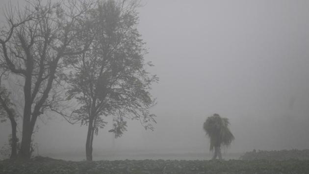 A farmer carries hay as walks across a field through heavy fog on the outskirts of Jammu. (AP File) A farmer carries hay as walks across a field through heavy fog on the outskirts of Jammu. (AP File)