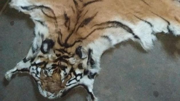 Two arrested with tiger skin in Uttarakhand - Hindustan Times