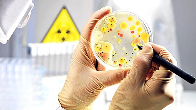 Identifying microbes involves isolating the DNA of samples, and then amplifying - or making many copies - of that DNA that can then be sequenced, or identified.(Representative photo)
