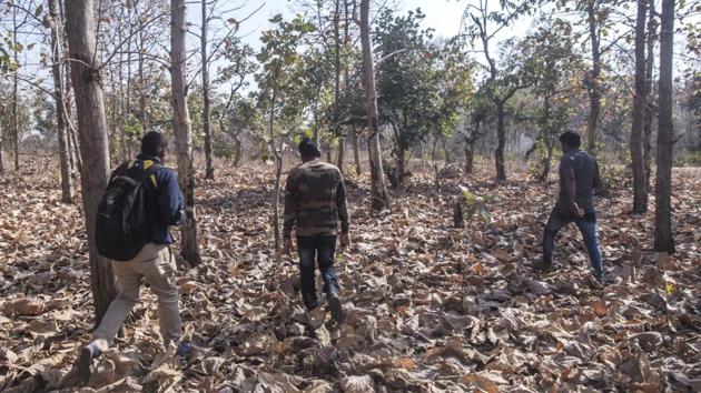 Forest officials track a man-eating tigress inside a forest in Pandharkawada region. 70 people from a forest department team which includes veterinary and range officers, and members of the NGO Wildlife Conservation Trust  are struggling to track the animal considered behinf the attacks. (Pratik Chorge / HT Photo) 