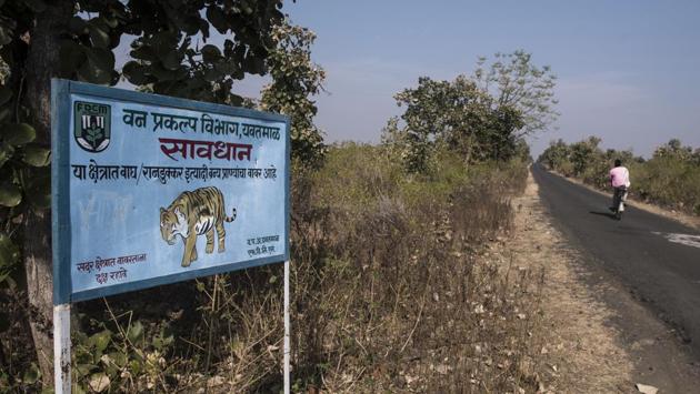 The forest department has put up signs on roads that they consider danger zones. As the clock continues to tick, the villagers still have doubts about how the forest department is going about things. They don’t understand why the tigress can’t just be shot and the delay is making them jittery. (Pratik Chorge / HT Photo) 