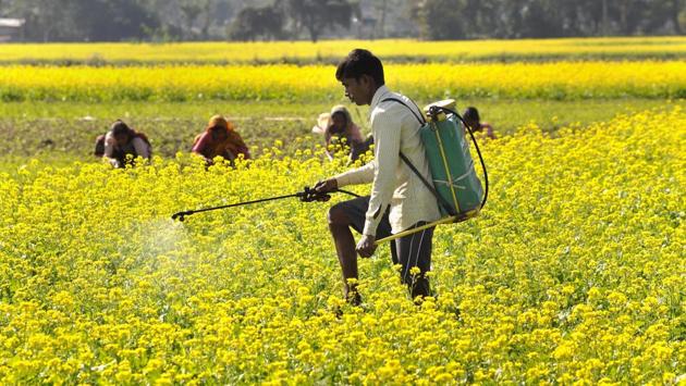 This rabi season, the production will be around 10 lakh tonne short.(PTI)