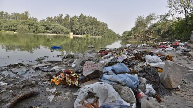 Researchers said there is also possibility that the levels of heavy metals are rising in Sanjay Lake. (Sanjeev Verma/HT Photo) Researchers said there is also possibility that the levels of heavy metals are rising in Sanjay Lake. (Sanjeev Verma/HT Photo)
