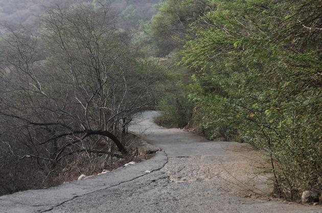 The meeting will take place in the backdrop of a rise in poaching in the Aravallis. (Sanjeev Verma/HT FILE) The meeting will take place in the backdrop of a rise in poaching in the Aravallis. (Sanjeev Verma/HT FILE)