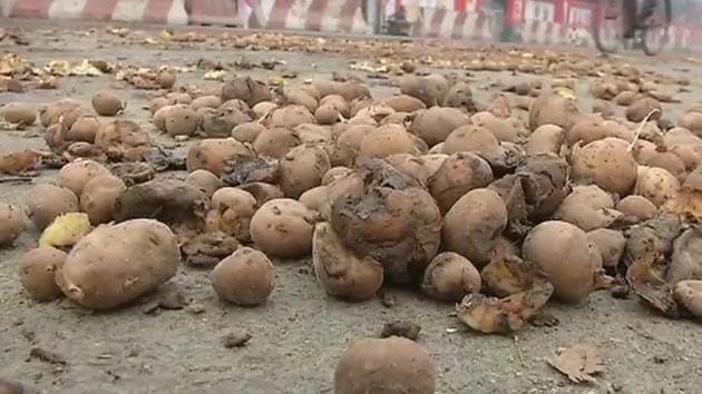 Potatoes dumped outside Uttar Pradesh Assembly in Lucknow. (ANI Photo/Twitter) Potatoes dumped outside Uttar Pradesh Assembly in Lucknow. (ANI Photo/Twitter)