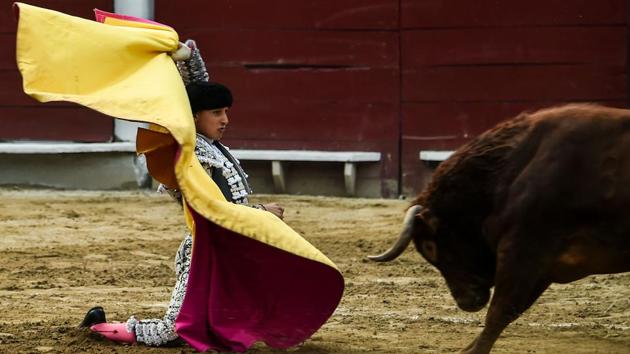 Peruvian bullfighter Andres Roca Rey performs during a bullfight at the Canaveralejo bullring during the 60th Cali Fair on December 31, 2017 in Cali, Colombia. (Luis Robayo / AFP) Peruvian bullfighter Andres Roca Rey performs during a bullfight at the Canaveralejo bullring during the 60th Cali Fair on December 31, 2017 in Cali, Colombia. (Luis Robayo / AFP)
