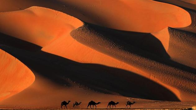 Camels walk across the Liwa desert, west of the Gulf emirate of Abu Dhabi, during the Liwa 2018 Moreeb Dune Festival on January 02, 2018. The festival attracts participants from around the Gulf region and includes car, bike, falcon, camel and horse races along with activities aimed at promoting the country's folklore. (Karim Sahib / AFP) Camels walk across the Liwa desert, west of the Gulf emirate of Abu Dhabi, during the Liwa 2018 Moreeb Dune Festival on January 02, 2018. The festival attracts participants from around the Gulf region and includes car, bike, falcon, camel and horse races along with activities aimed at promoting the country's folklore. (Karim Sahib / AFP)