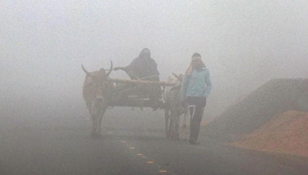 A bullock cart makes its way through winter fog on the outskirts of Illambazar in Birbhum on December 23, 2017. (PTI) A bullock cart makes its way through winter fog on the outskirts of Illambazar in Birbhum on December 23, 2017. (PTI)