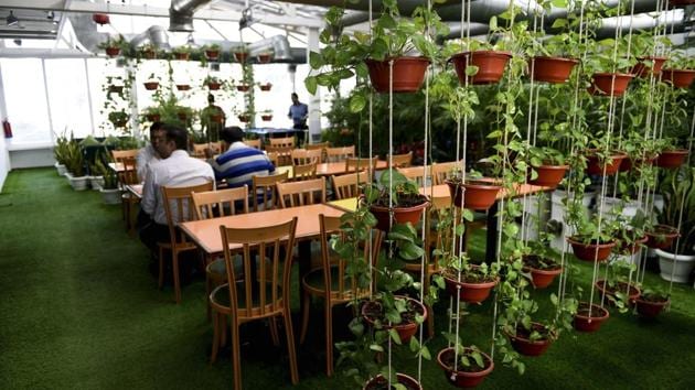 Air is then pushed through the greenhouse where the plants remove bacteria, fungus, carbon dioxide and other toxins, before air conditioning pumps it to workers on floors below. Meattle likens working in the building to “working in Gulmarg in Kashmir or Davos in Switzerland.” (Money Sharma / AFP) 