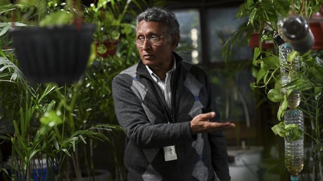 Meattle (pictured), says the building's greenhouse is like an air tank, where PM2.5 -- the most harmful particulates in the air -- register nearly zero compared with 415 outside, according to Paharpur’s monitoring system. The level outside is more than 16 times the World Health Organization’s safe limit. (Money Sharma / AFP) 