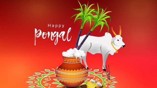 Pongal 2018: Date, significance and history of the Tamil harvest ...