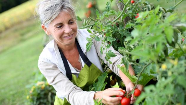 Gardening is more enjoyable than housework. (Shutterstock) Gardening is more enjoyable than housework. (Shutterstock)