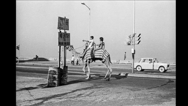 Camel at Marine Drive, Bombay 1977. (Sooni Taraporevala / Courtesy Sunaparanta)