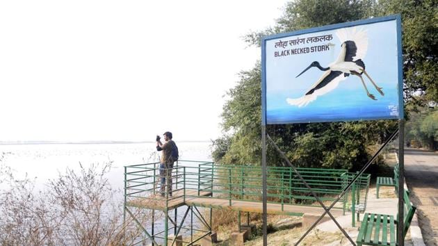 Officials said that the number of visitors is expected to increase if more facilities are provided. (Sunil Ghosh/HT Photo) Officials said that the number of visitors is expected to increase if more facilities are provided. (Sunil Ghosh/HT Photo)
