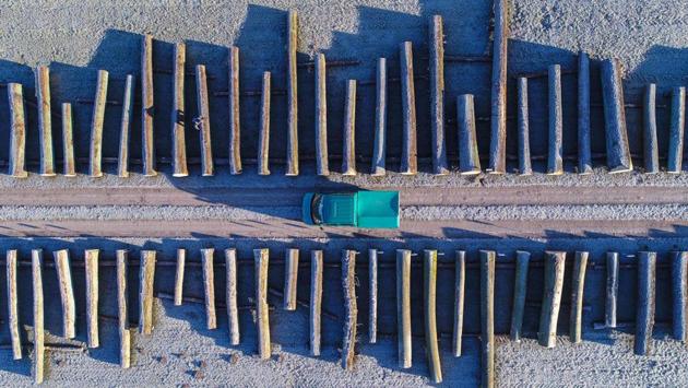 An aerial picture taken with a drone on January 8, 2018 shows wood logs lined up at the storage facility of a Brandebourg forestry company in the eastern German town of Chorin. (Patrick Pleul / dpa / AFP) An aerial picture taken with a drone on January 8, 2018 shows wood logs lined up at the storage facility of a Brandebourg forestry company in the eastern German town of Chorin. (Patrick Pleul / dpa / AFP)