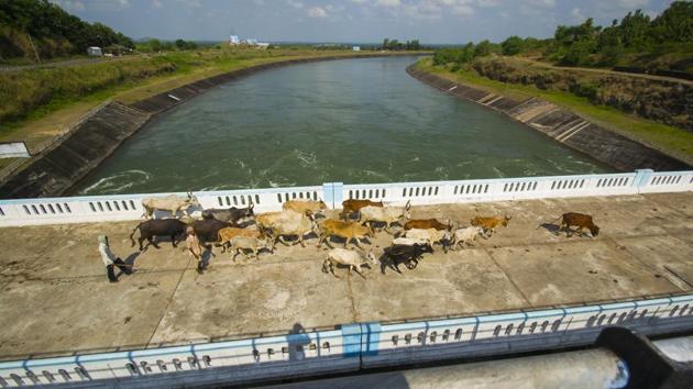Canal of Sardar Sarovar Dam on the Narmada river in Gujarat.(Representative image)