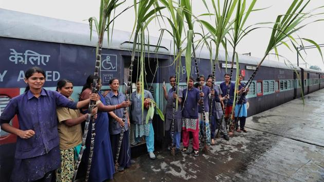 Members of Southern Railway Mazdoor Union celebrate Pongal festival, in Coimbatore. (PTI)