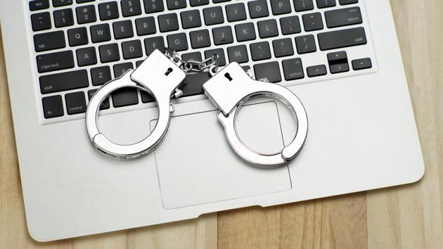 Centre suggested that state cyber crime coordination cells be headed by an ADG or inspector-rank official, and district cyber cells by a DSP or ASP-level official(Shutterstock)