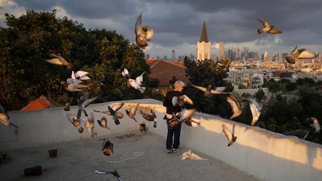A woman feeds birds in her daily sunset ritual on her rooftop in Tel Aviv. (Corinna Kern / REUTERS)