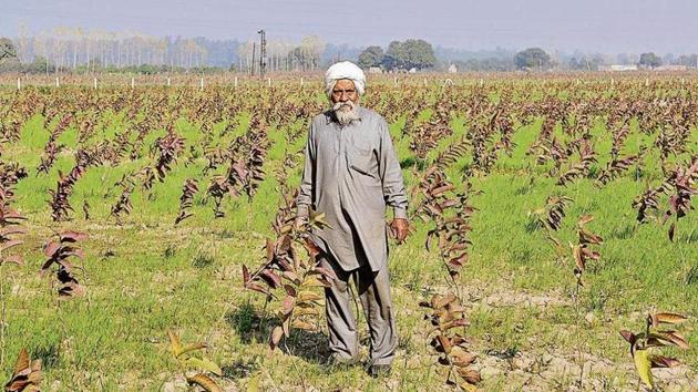 The farmers of Matran, Badi, Bakarpur and Chau Majra villages had alleged that the GMADA authorities were doing business by using their land as capital and had been earning huge profits. (HT File) The farmers of Matran, Badi, Bakarpur and Chau Majra villages had alleged that the GMADA authorities were doing business by using their land as capital and had been earning huge profits. (HT File)