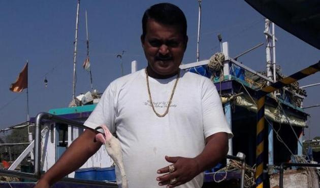 Rajen Tare with the flamingo he rescued. (Hitendra Naik) Rajen Tare with the flamingo he rescued. (Hitendra Naik)