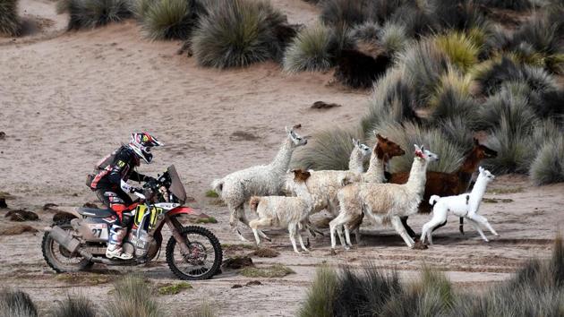 Diego Martin Duplessis, rides his Honda through a pack of llamas between La Paz and Uyuni, Bolivia. 337 vehicles kicked off the 2018 Dakar Rally -- the world’s second largest motoring event after Formula 1-- on January 6, embarking on a fortnight through the South American wilderness, ripping through deserts, high altitude terrain and sprawling coastlines. (Franck Fife / Pool via AP)