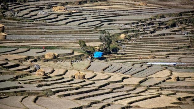 People farm in the Punakha Valley. Bhutan measures its national wealth by a Gross National Happiness index aiming to build a contented, fulfilled society but at the same time finds itself facing the competitive need for development. Its economy is based on agriculture, tourism and sale of hydroelectric power to India and agrarian practices provide for more than 50% of the population. (Cathal McNaughton / REUTERS) People farm in the Punakha Valley. Bhutan measures its national wealth by a Gross National Happiness index aiming to build a contented, fulfilled society but at the same time finds itself facing the competitive need for development. Its economy is based on agriculture, tourism and sale of hydroelectric power to India and agrarian practices provide for more than 50% of the population. (Cathal McNaughton / REUTERS)