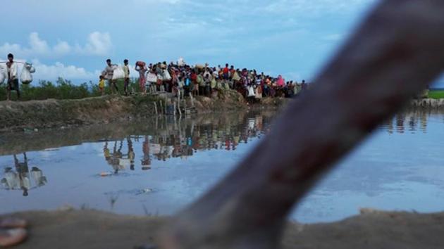 Rohingya refugees who fled from Myanmar make their way through the rice field after crossing the border in Palang Khali, Bangladesh on October 9, 2017. (REUTERS) Rohingya refugees who fled from Myanmar make their way through the rice field after crossing the border in Palang Khali, Bangladesh on October 9, 2017. (REUTERS)