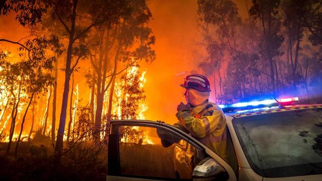 A firefighter monitors a bushfire in the eastern suburbs of Perth, Australia on January 14. (AFP) A firefighter monitors a bushfire in the eastern suburbs of Perth, Australia on January 14. (AFP)